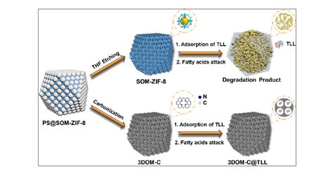  ZIF-8 w nanotechnologii - odkryj potencjał mikoporowatych struktur!